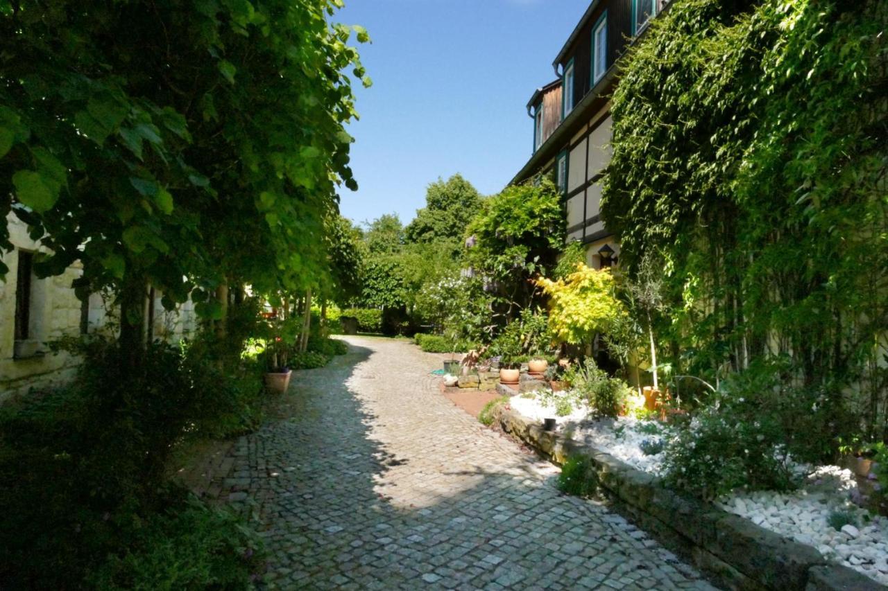 No.5 - Ferienwohnung Schkade Kleingiesshubel Extérieur photo